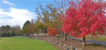 MJ's Retreat, Tongariro Alpine Crossing Special - Ohakune