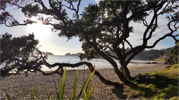 Whananaki Barn -Off Grid Living with Beach Views! - Whananaki North