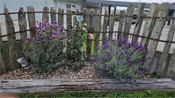 Bever Farm Cottage - North Auckland